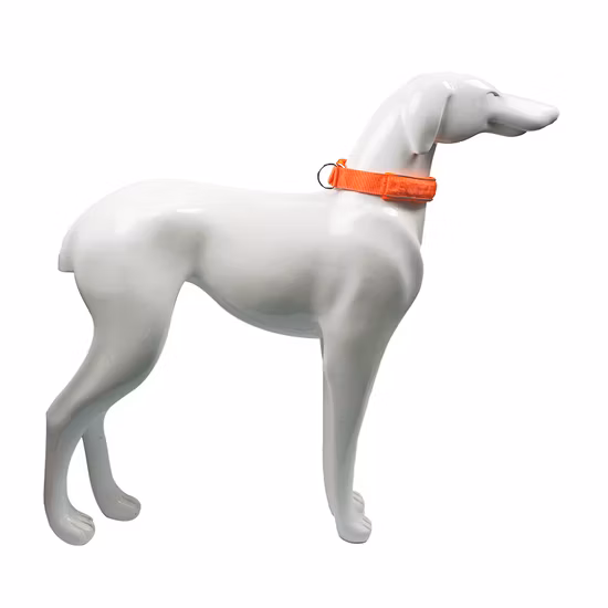 맞춤형 애완 동물 제품 금속 버클이 달린 반사 나일론 개 목걸이